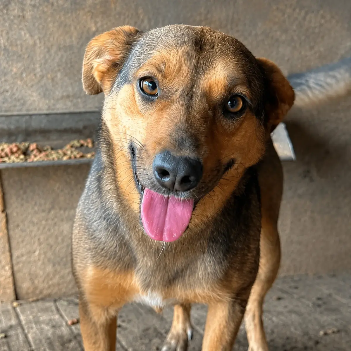 Nayla