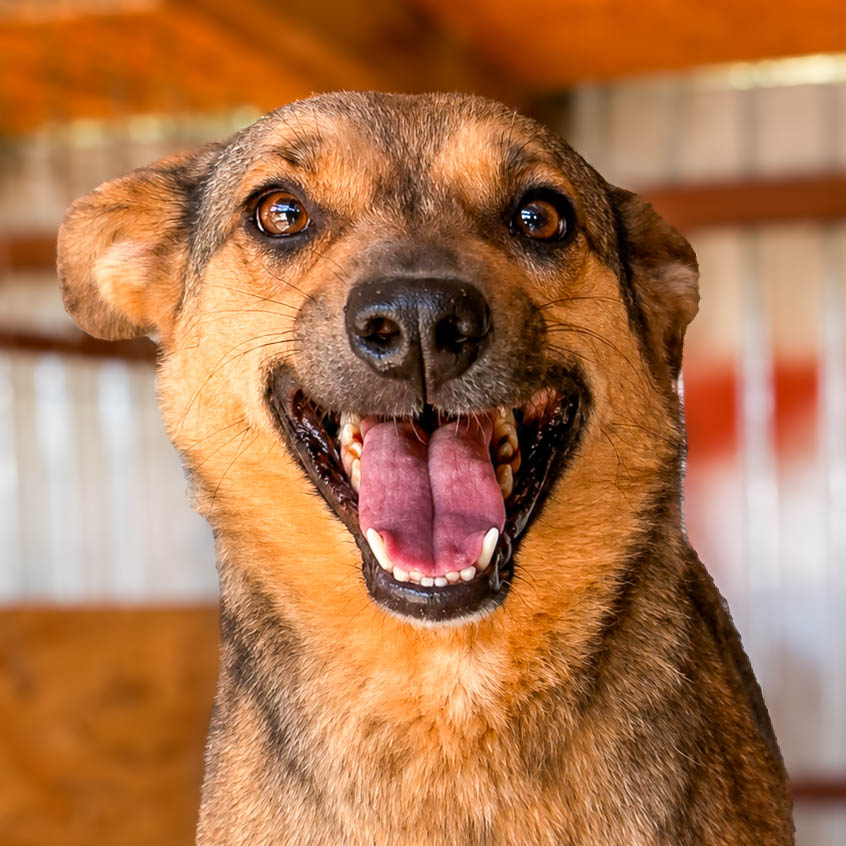 Nayla