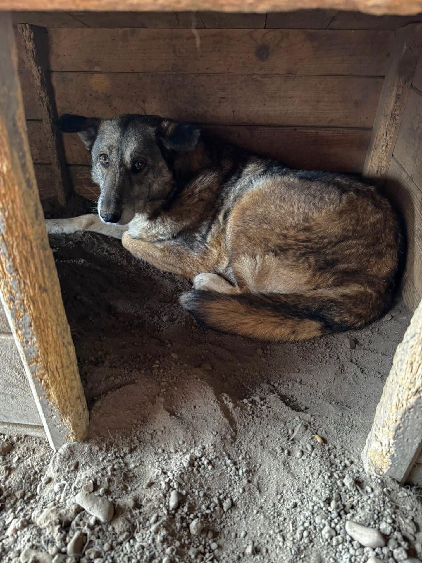 Homepage Balthasar Shelter 09 24