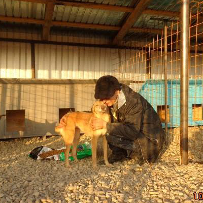 Lucia in Shelter hp 2014