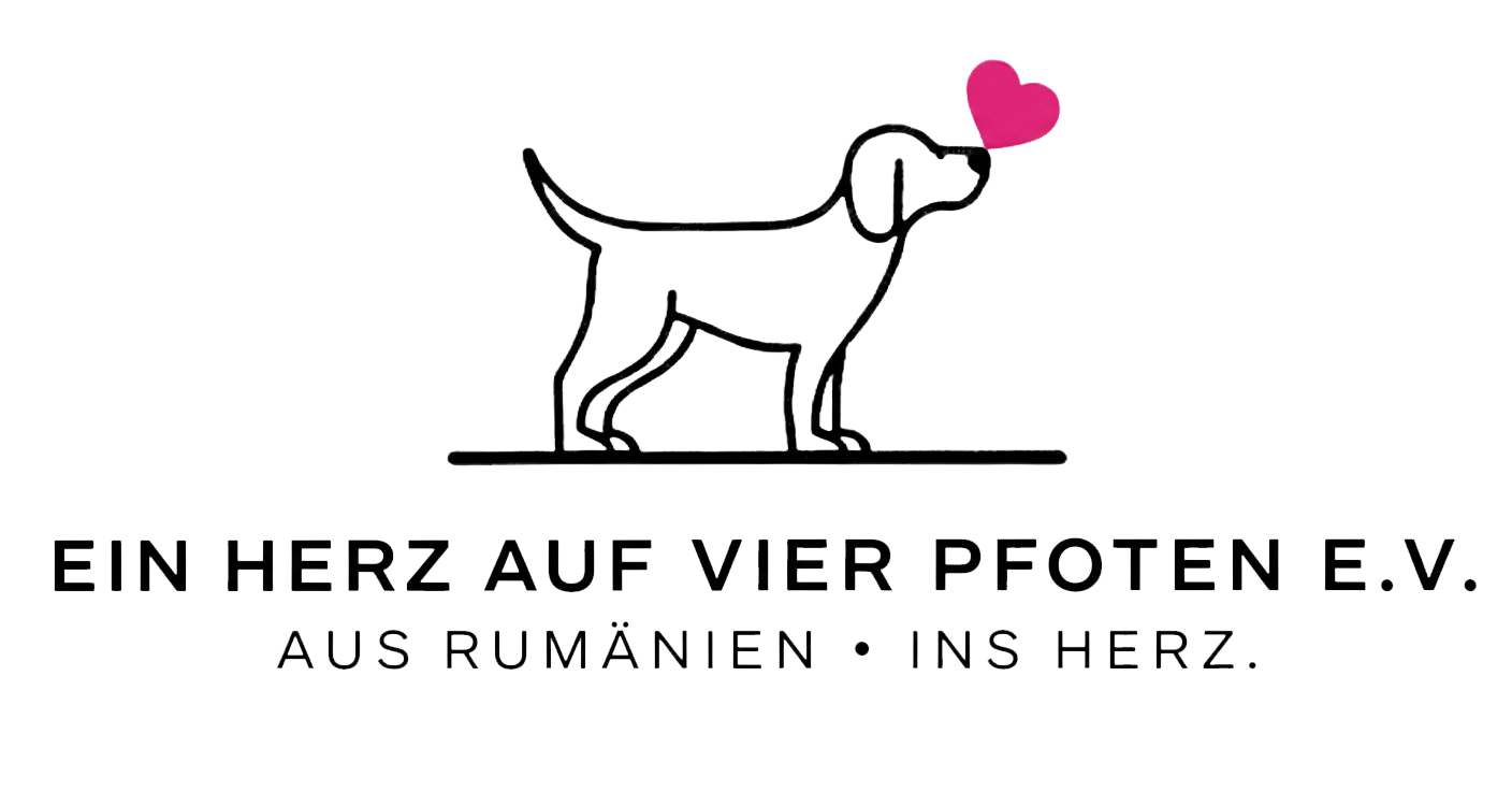 logo trans