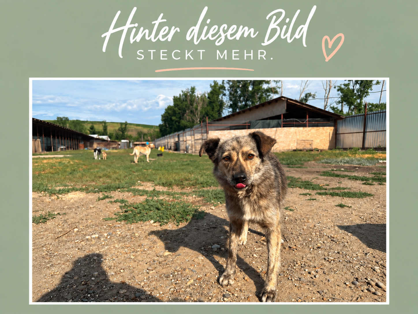 🐾 Was du auf diesem Foto nicht siehst.