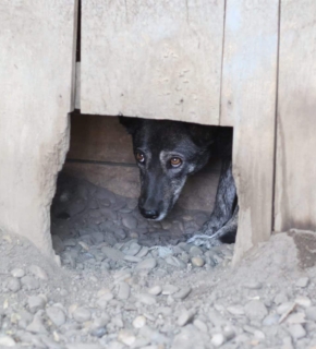 September 2021