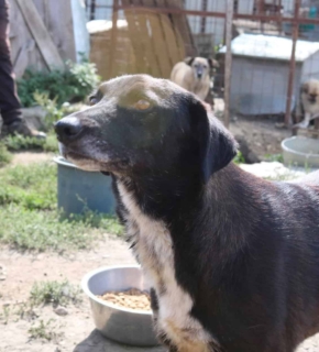 September 2023