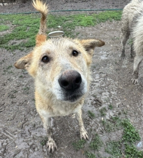 Mai 2025