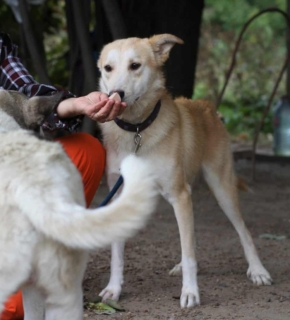 September 2021
