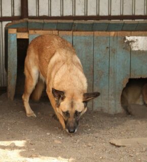 September 2022