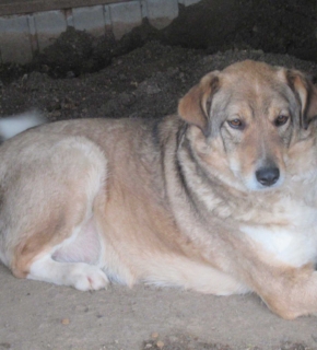 Februar 2024