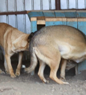 September 2021
