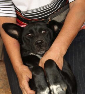 September 2022