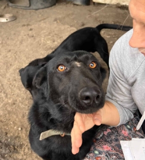 Oktober 2024