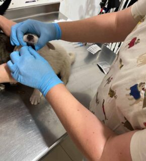 August 2023