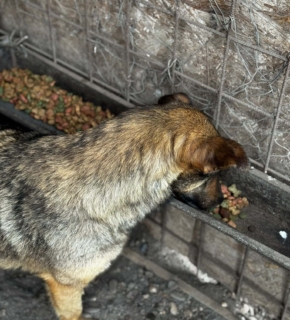 Mai 2025