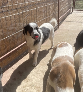September 2025