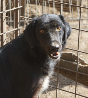 September 2025