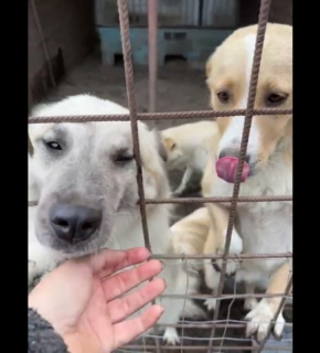 Marou, Finley und Ocean - Mai 2025 Marou, Finley und Ocean - Mai 2025