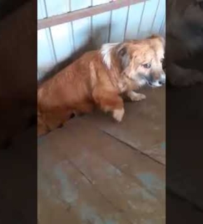 Buddy - April 2024 Buddy - April 2024
