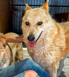Juli 2026