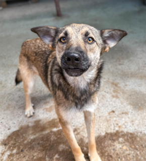 Juli 2026