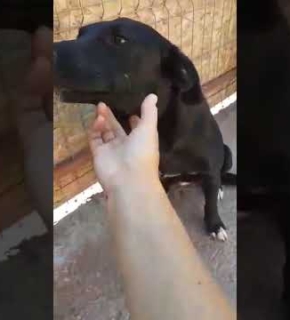 Felka - Juli 2025 Felka - Juli 2025