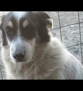 Milka - November 2024 Milka - November 2024