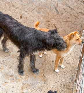 Juli 2026