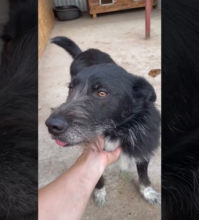Zorro - September 2025 Zorro - September 2025