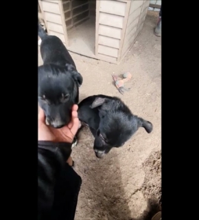 Diesel - September 2022 Diesel - September 2022