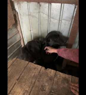 Diesel und Talisha - Mai 2025 Diesel und Talisha - Mai 2025