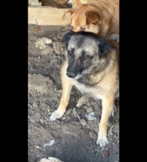 September 2025 Rona - September 2025