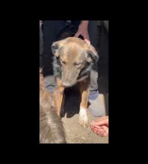 Nala - September 2025