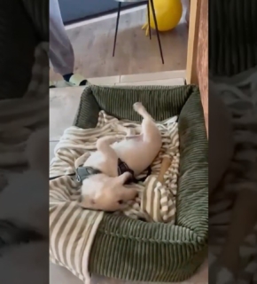 Zuhause im Glück Fritzi - Zuhause im Glück